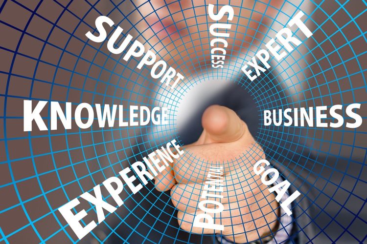 Mentoring and Advisory Services